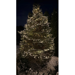 Lampki choinkowe WiFi Tuya aplikacja mobilna 400 diód LED 40M łańcuch WOOX R5170 – zdjęcie 12